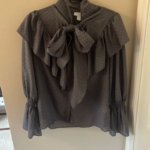 Sheer/Shimmer Blouse